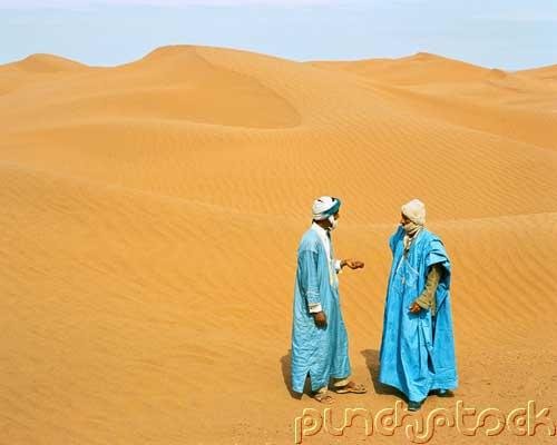 The Arabs - The Umayyad & Abbasid Empires - Abbasid Scientific & Literary Progress