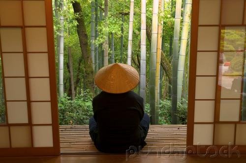 East Asian History - Japan Since 1945