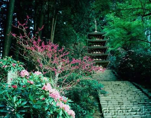 East Asian History - The Zhou - Its Decline & The Age Of Philosophers