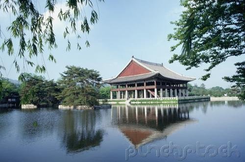 The East Asian History - Common Ground & Regional Differences