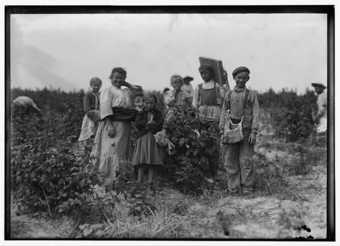 The History Of Polish Immigrants - Immigration To The United States