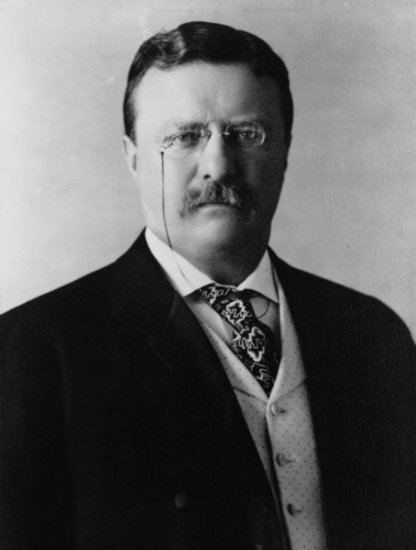 The Story Of Theodore Roosevelt - United States President