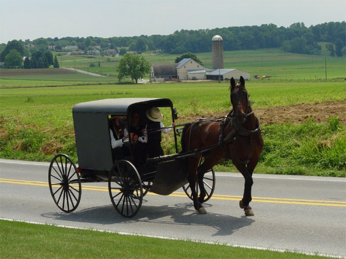 The History Of The Amish