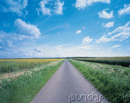 The Path That Leds To Destruction Is Broad