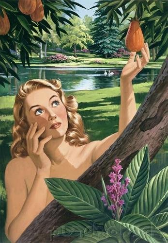 Eve Told The First Truth In The World When She Said, "The Serpent Beguiled Me".