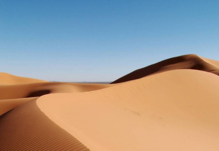 Curriculum Design & Instruction To Teach About Deserts