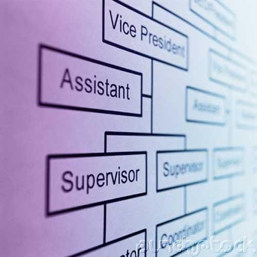 Sociology - Change: The Organizational Age
