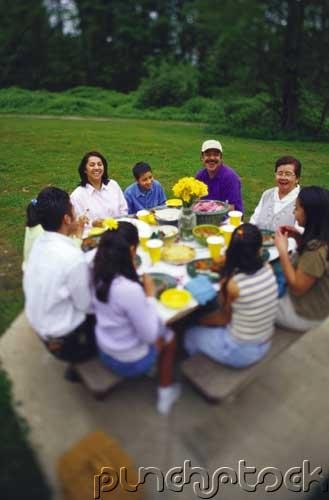 Sociology - Social Institutions - The Family
