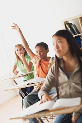 Racial & Ethnic Groups - Basic Perspectives On Racial & Ethnic Groups - Minority-Majority Relations
