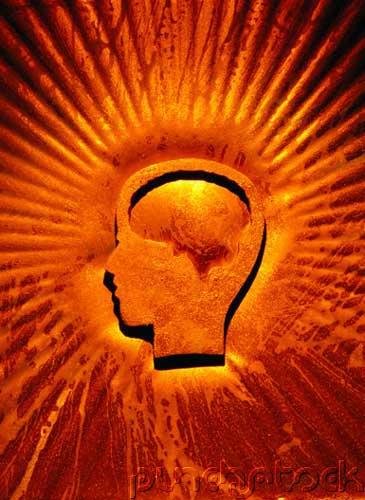 Memory & Cognition - Learning Theories