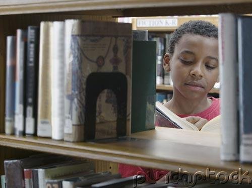 African American History - In Literature