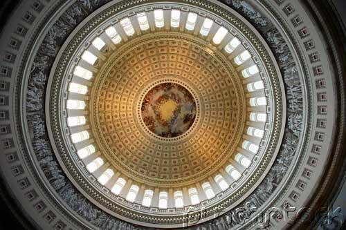 The Policymakers - Congress