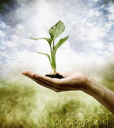 The Nature Of Philosophy - Philosophic Thought Before Philosophy In The StrIct Sense
