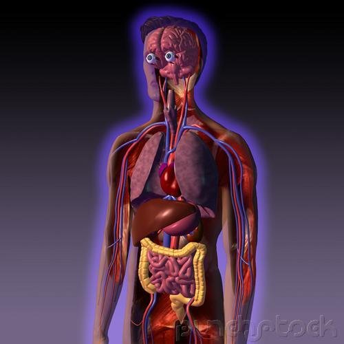 Nursing Assistants - Body Structure & Function