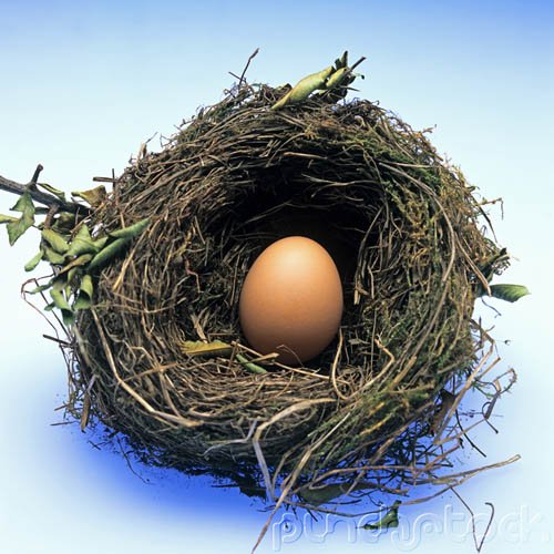 Issues Of Procreation