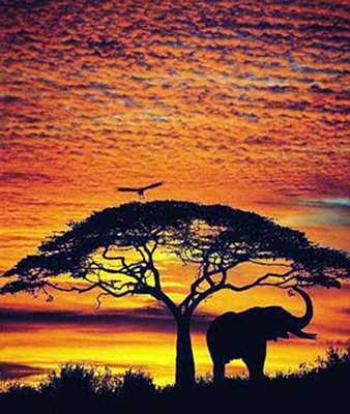 Curriculum Design & Instruction To Teach The Profiles Of The Nations Of Africa