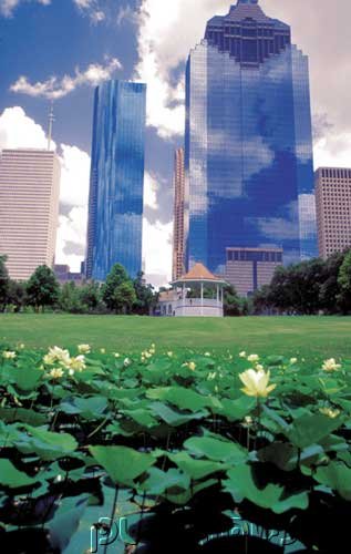 Curriculum Design & Instruction To Teach Local Government