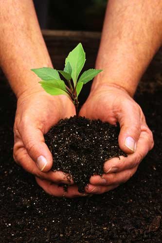 Energy & Natural Resources