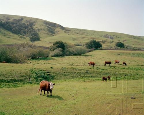 Interactions - Organisms & Environment - The Ecology Of Communities - Populations Interacting