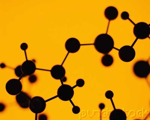 How Animals Survive - Hormones & Other Molecular Messengers