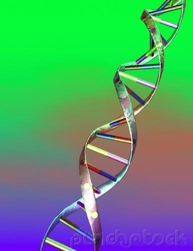 Perpetuation Of Life - DNA - The Thread Of Life