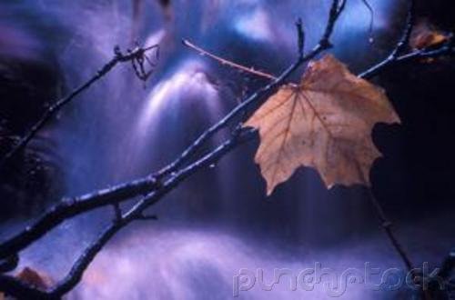 Atmospheric Dynamics