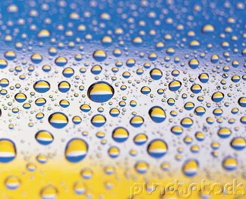 Chemical Reactions