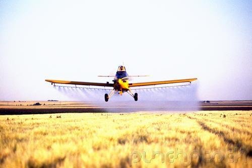 Pesticides & Toxic Substances