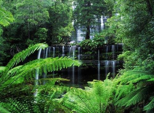 Concepts & Principles Of Ecology