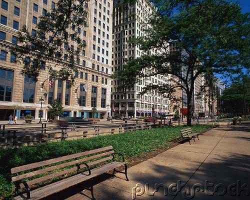 Chicago City Government