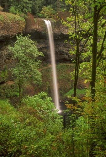 The Dynamics Of Ecosystems