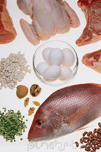 Food Control - Food Production II - Quantities