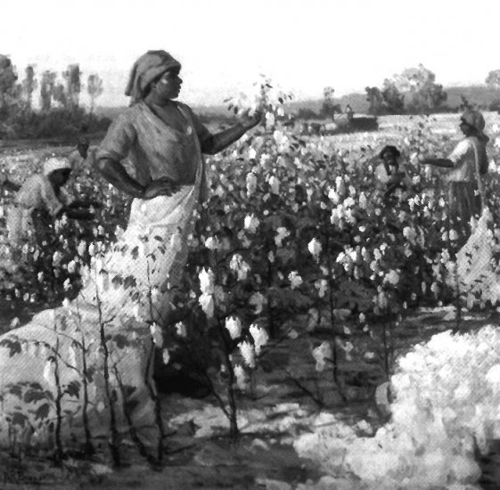 United States History - Taking Different Economic Paths - Cotton Is King In The South 1789 - 1860