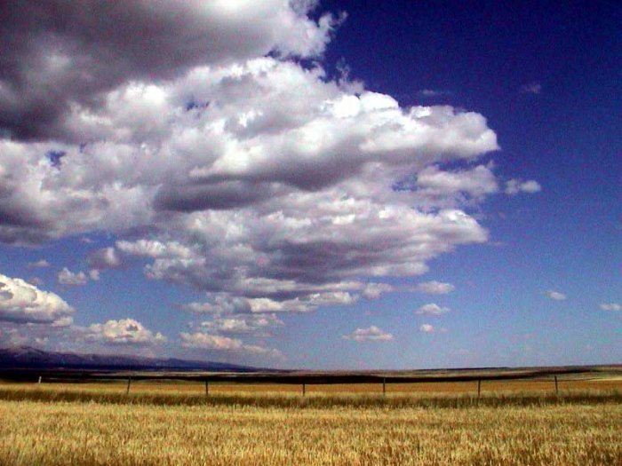 United States History - Americans Move West - Settling The Great Plains 1860 - 1900