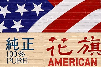 The Story Of Distinguished Asian Americans - Volume XVIII