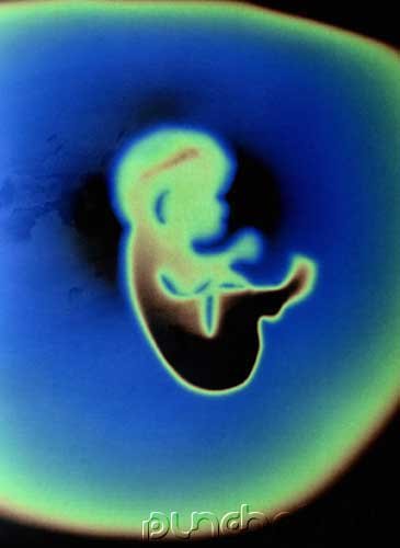 Reproductive Issues & Nursing Ethics