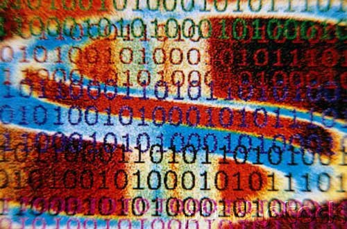 Data Integrity - Volume 8