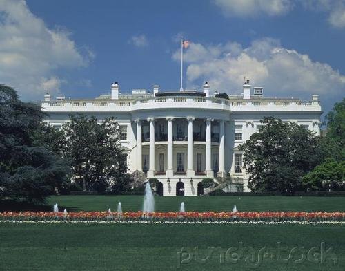 Curriculum Design & Instruction To Teach The American Presidency