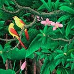 Bird Behavior - The Living Bird