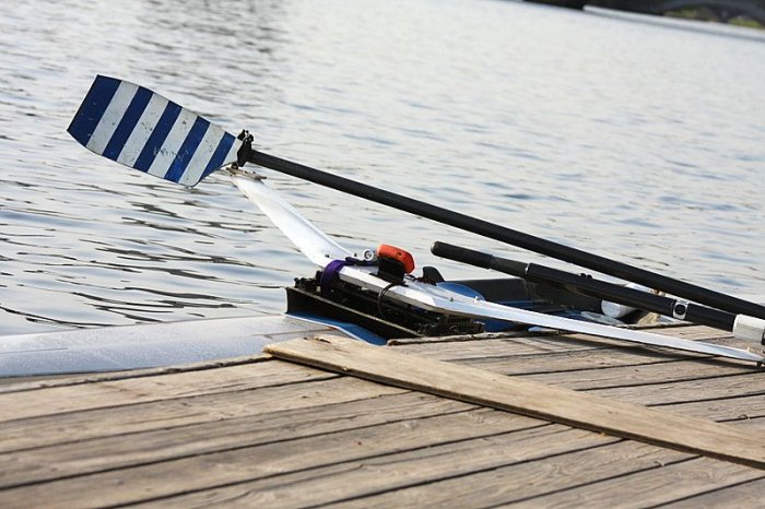 oars