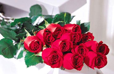 One Dozen Roses in Box