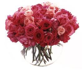 Two Dozen Pink Roses
