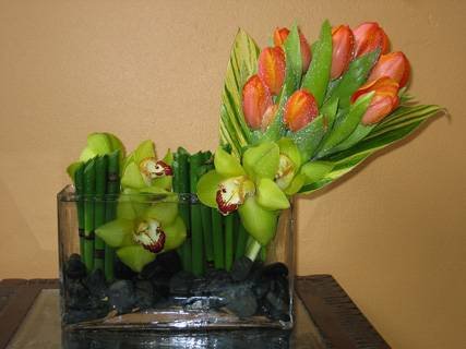 Exquisite Tulips & Orchids