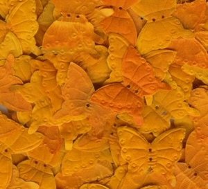 Orange Silk Butterfly Petals ~ Wedding ~ Shower ~ Party ~ Favors
