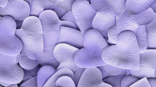 Lavender Silk Heart Petals ~ Wedding ~ Shower ~ Party ~ Favor