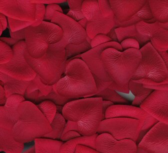 Red Silk Heart Petals ~ Wedding ~ Shower ~ Party ~ Favors