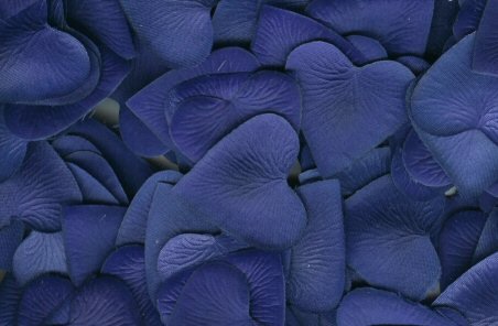 Royal Blue Silk Heart Petals ~ Wedding ~ Shower ~ Party ~ Favors