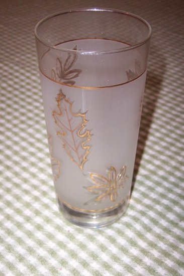 Libbey Gold Leaf Glass Tumbler (4)