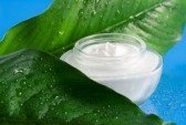 White Tea Body Cream