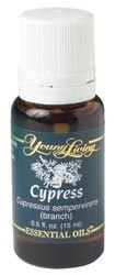 Young Living Essential Oils Cypress 15 Ml Free Shipping
